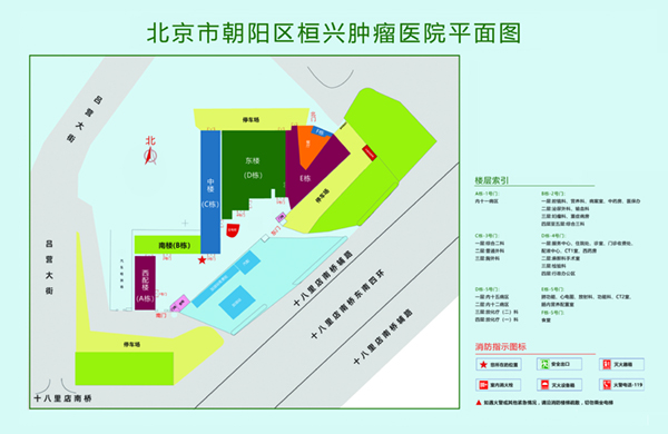 女生被操啊啊啊网站app北京市朝阳区桓兴肿瘤医院平面图